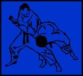 Kiskunhalas dojo logó