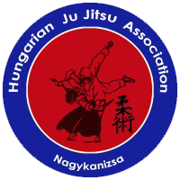 Nagykanizsa dojo logo